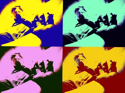 ebanosp Public صورة واحدة|ebanosp Public صورتان|ebanosp Public  4 صور|ebanosp Public  4 صورة