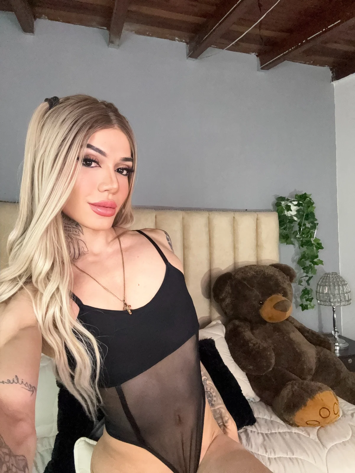 Трендове зображення  6684 Camillesanto