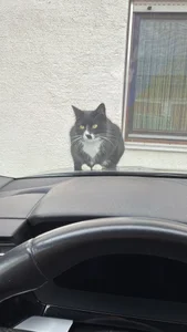 lena_luca Public Foto 3