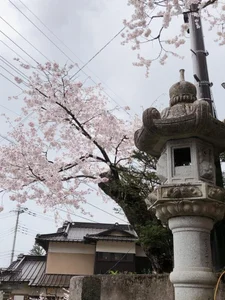 HinaLovely: My life ( 2 фото)