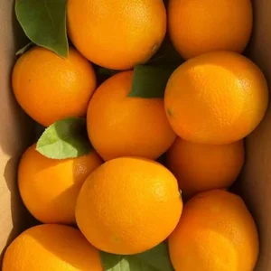 AngelwithEcup 中国人常吃的水果零食Fruit snacks commonly eaten by Chinese people Hình