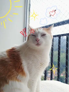 Public de Lexyy_Bluee  2 Imagens