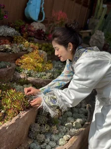 Follow_1 Public Hình 3