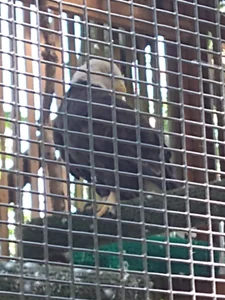 Zdjęcia Evalain_shadow My Travels ✌️:  5