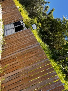 bbhiShark 視頻 Hình 4