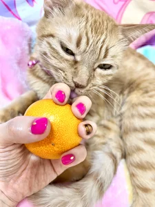 -mirurun08-のみーちゃんとネイル❤️の 3枚の写真