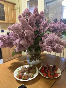 Light_Kira_kiss Public รูป  3