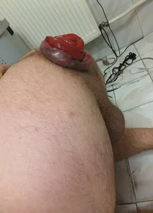 Zdjęcia FistHot93 ASS Rose:  3