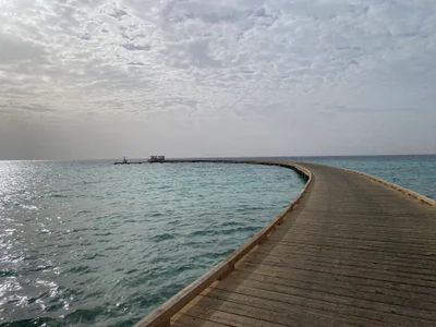 AvaGreenX Fairytale Soma Bay💕 사진 4