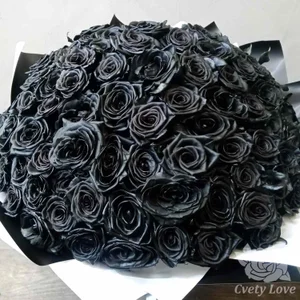 Emmybrightj_ Help me to make my small dream come true! Can`t wait to get them and tease on my stream! 사진 2