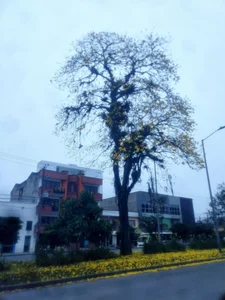 AvelascoのDe paseo 🎇👌🫣の 3枚の写真