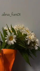 Alexa_Girl1 flowers (*¯︶¯*) صورة واحدة|Alexa_Girl1 flowers (*¯︶¯*) صورتان|Alexa_Girl1 flowers (*¯︶¯*)  2 صور|Alexa_Girl1 flowers (*¯︶¯*)  2 صورة