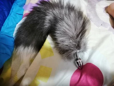 crss_2020 my toys Pic 4