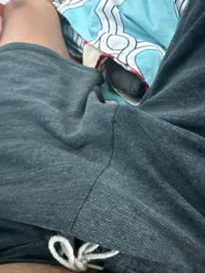 Popps39のyの枚の写真