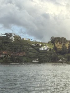 norbac11Ozzy图片 3