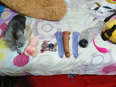 crss_2020 my toys Pic 3