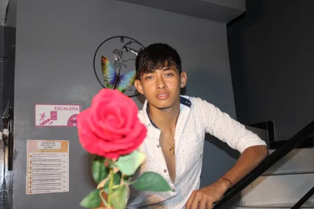 rose for you de Tigger_Collins  Imagens