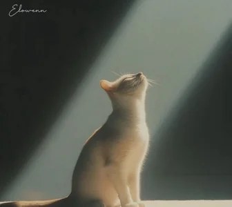 --102KymMiiss--のPublicの 5枚の写真