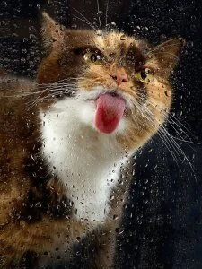 Audrey_Aura KISA Foto