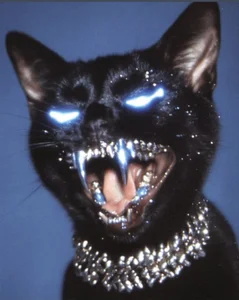 Spicy_kitty1 Hottie kitty  2. fénykép