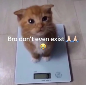 MaddisonHaas memes🤭 Pic 6