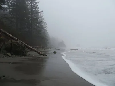 kkkittenkitty Public Poză 2