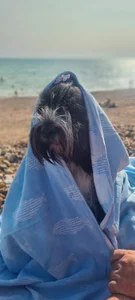 LeatherSdaddyのPublicの 6枚の写真