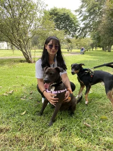 Ca-tmila Volunteer at an animal foundation🐶🐾 Bilde 8