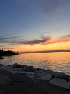 paulacora's photo