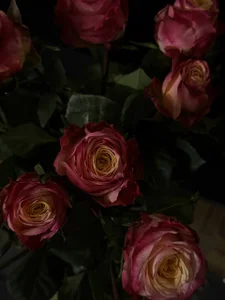 Sugarmusee your gifts Pic 6