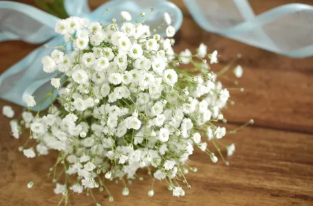 MARIA_oOの♡の 5枚の写真