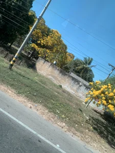 dannasaenz40 Public Pic 2