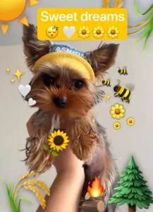my Michelle de BootyTrisha7  3 Imagens