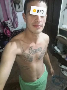 elvergon31Public Bild