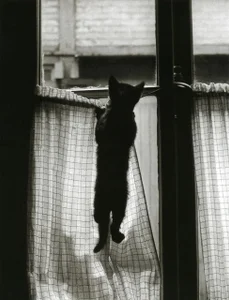 :) od pete777  2 snímek