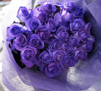 osu-nari_kun Public 사진 4