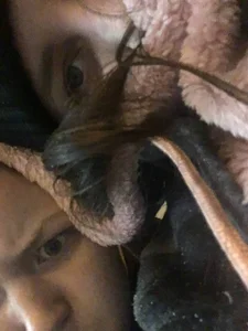 ihaveasecret_ Public صورة واحدة|ihaveasecret_ Public صورتان|ihaveasecret_ Public  7 صور|ihaveasecret_ Public  7 صورة