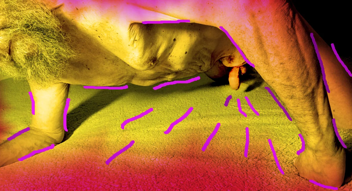 صور Uncle_Hottie الرائجة  7410