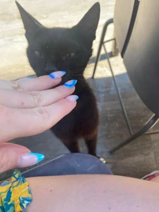 LiSinDoll monologue of one girl Immagine 