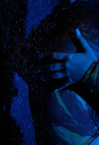 Hayle_Hill very humid Pic 6