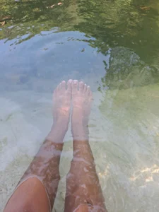 Cataleya_ja Paseo Billede 7