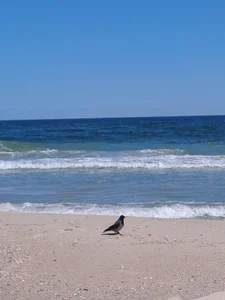 Jane_DreamsЯ на море图片 2