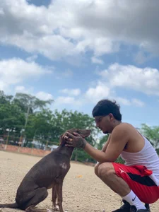 Lord_LuciferHotDirty777 Like 🫶🏽 my dog ❤️  2. fénykép