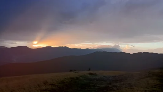 Green?? de Saysomething3  photos