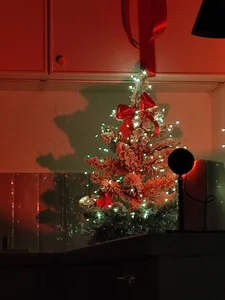 LittleForestELF2 Public Pic