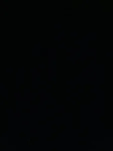 Public de Longcock4748 Foto 6