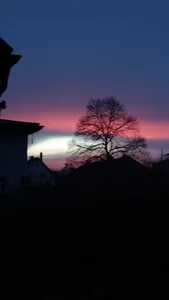 Die-geile-Sau 0 사진