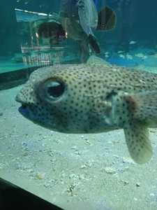 See the world. It's more fantastic than any dream od ArdentMisrule  9 snímek