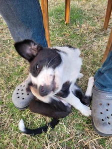 Soumik94 Public Poză 2