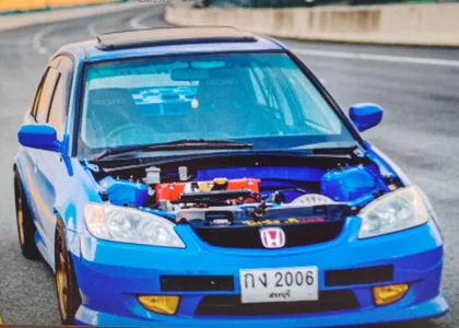 Yosoyelmismo-6737 kullanıcısının 6 albümü -  fotoğraf